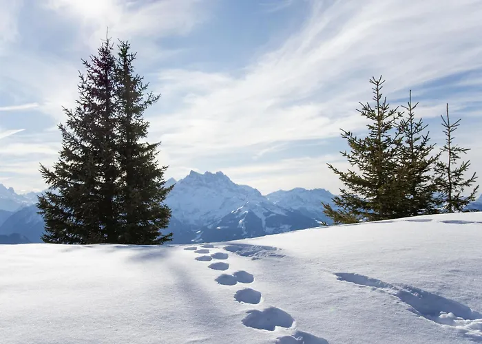 Les Dryades 6 By Interhome Διαμέρισμα