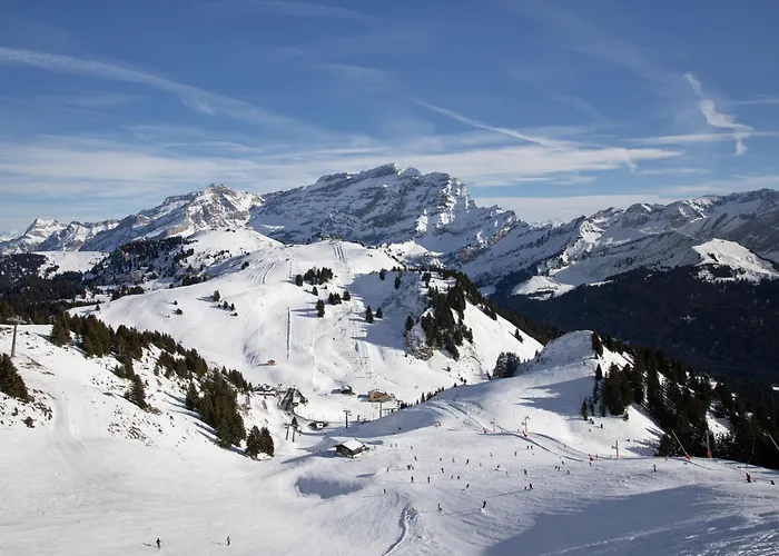 Les Dryades 6 By Interhome Villars-sur-Ollon